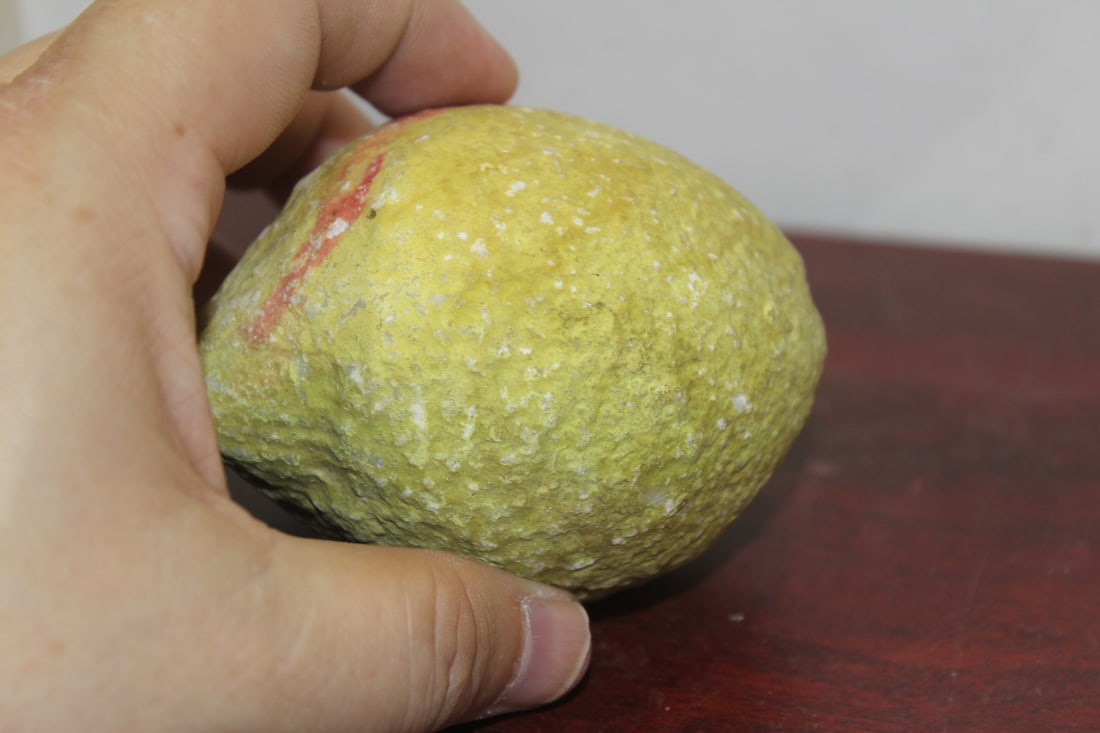 A Real Size Stone Lemon - 4
