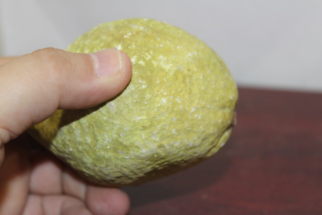 A Real Size Stone Lemon - 5