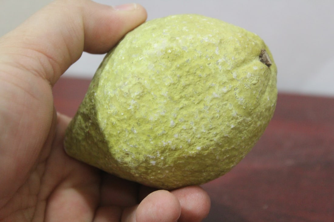 A Real Size Stone Lemon - 6