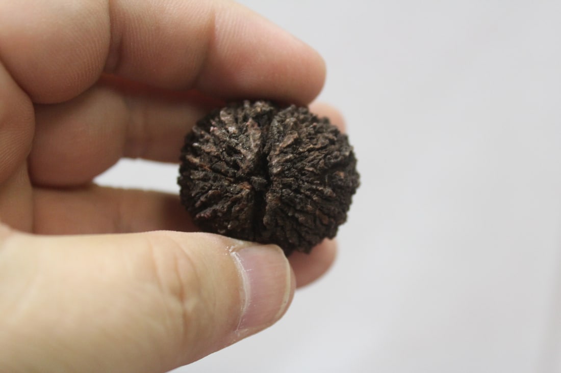 A Ceramic Nut - 2