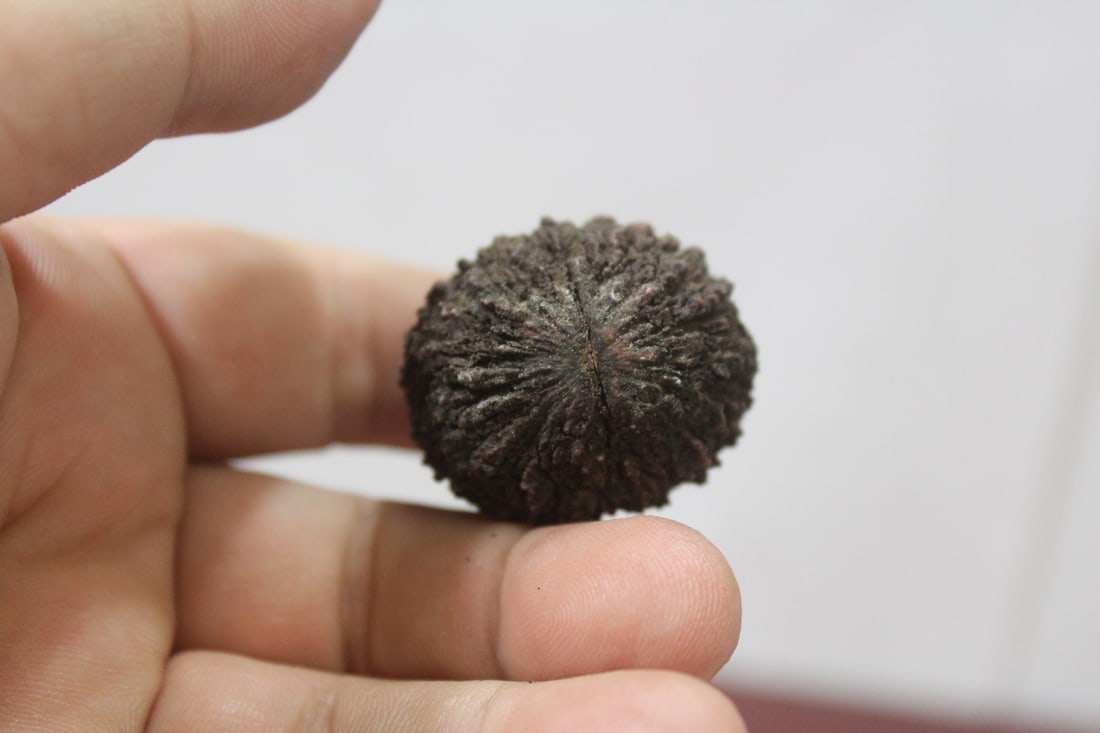 A Ceramic Nut - 3