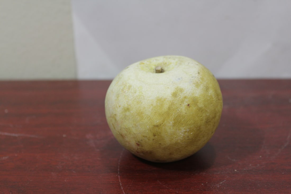 A Real Size Stone Pear: as shown