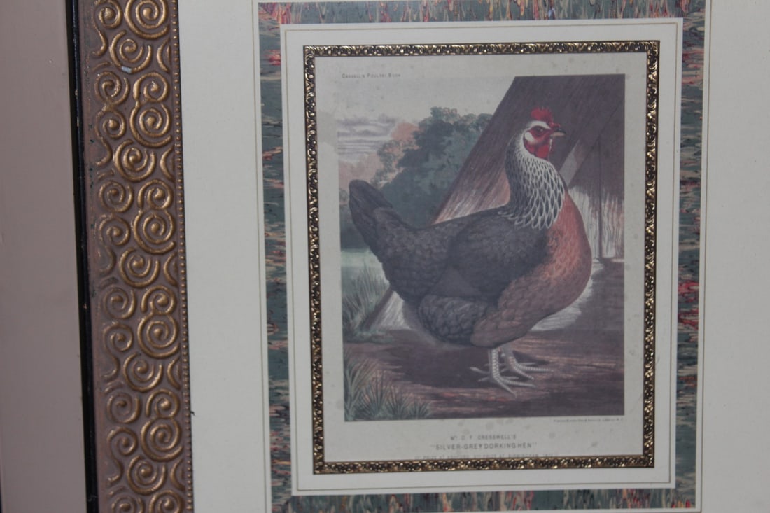 A Nicely Framed Lithograph of a Chicken - 2
