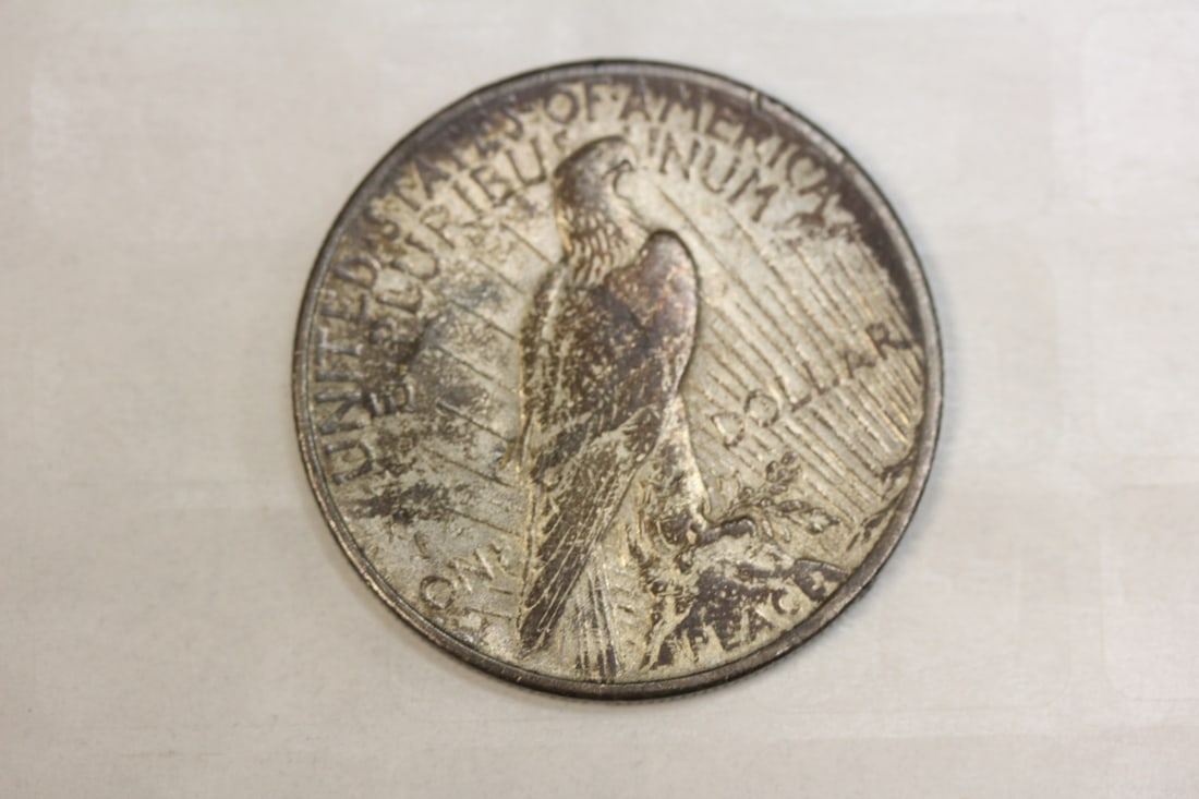 1925 Peace Silver Dollar - 2
