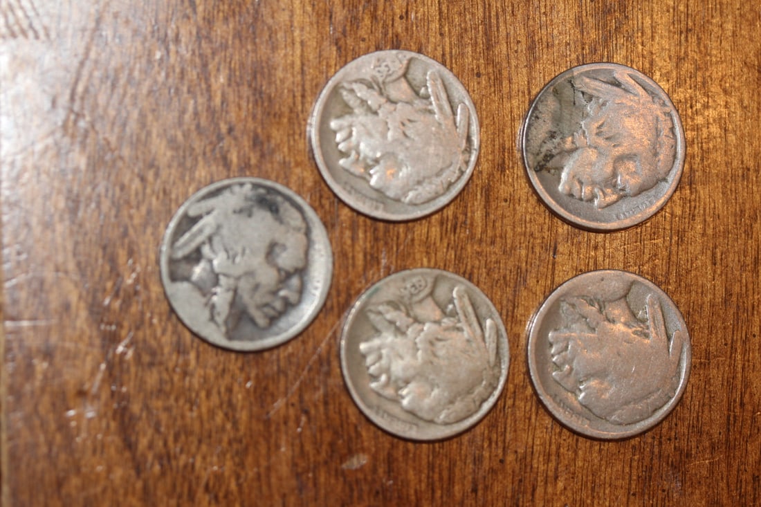 Lot of 5 Buffalo Nickels: as shown