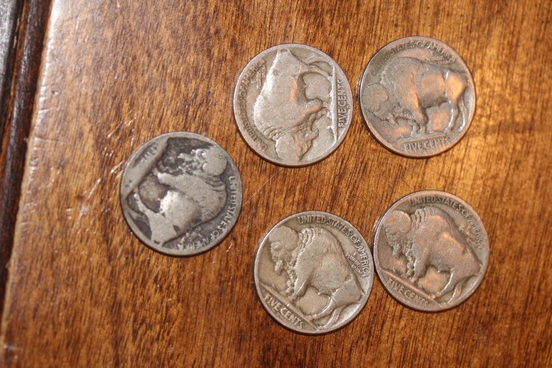 Lot of 5 Buffalo Nickels - 2