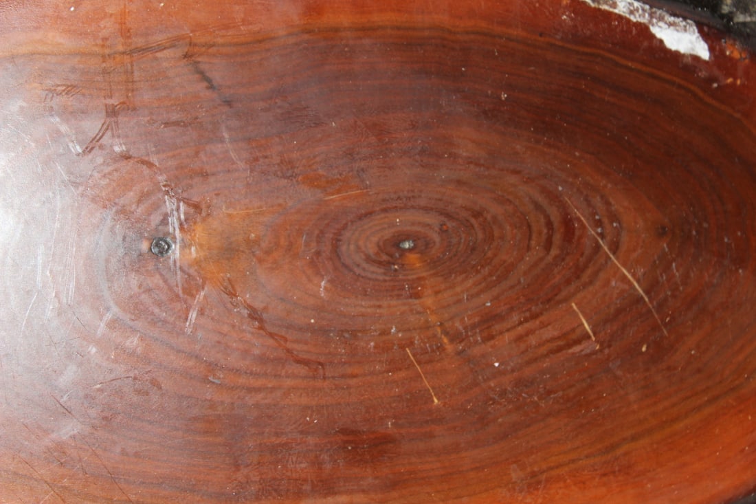Slice of Cypress Wood - 2