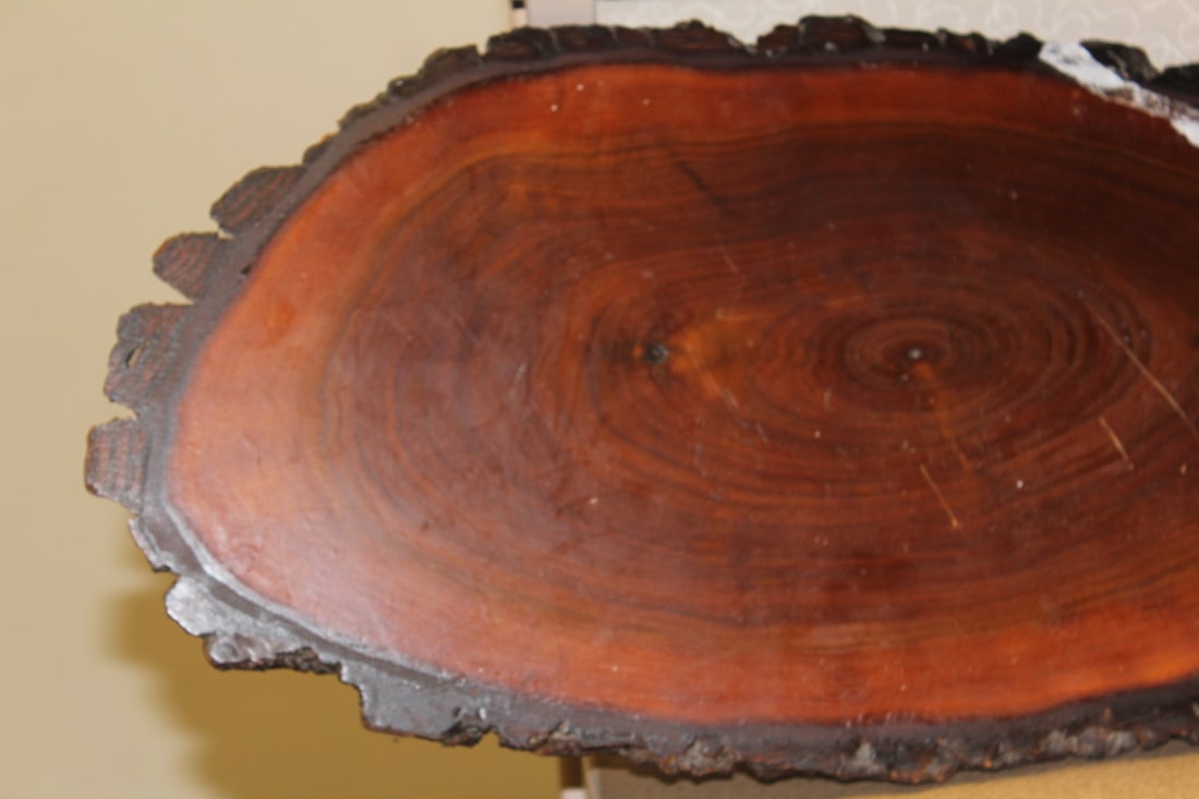 Slice of Cypress Wood - 3