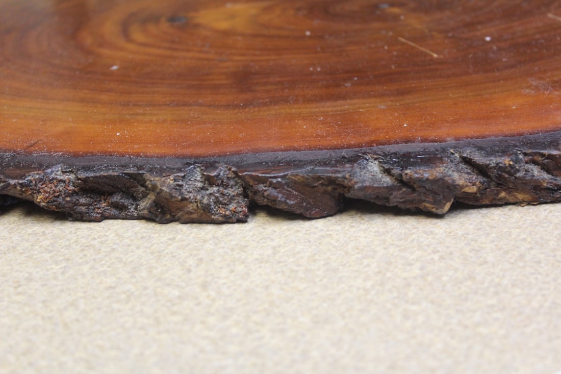 Slice of Cypress Wood - 6