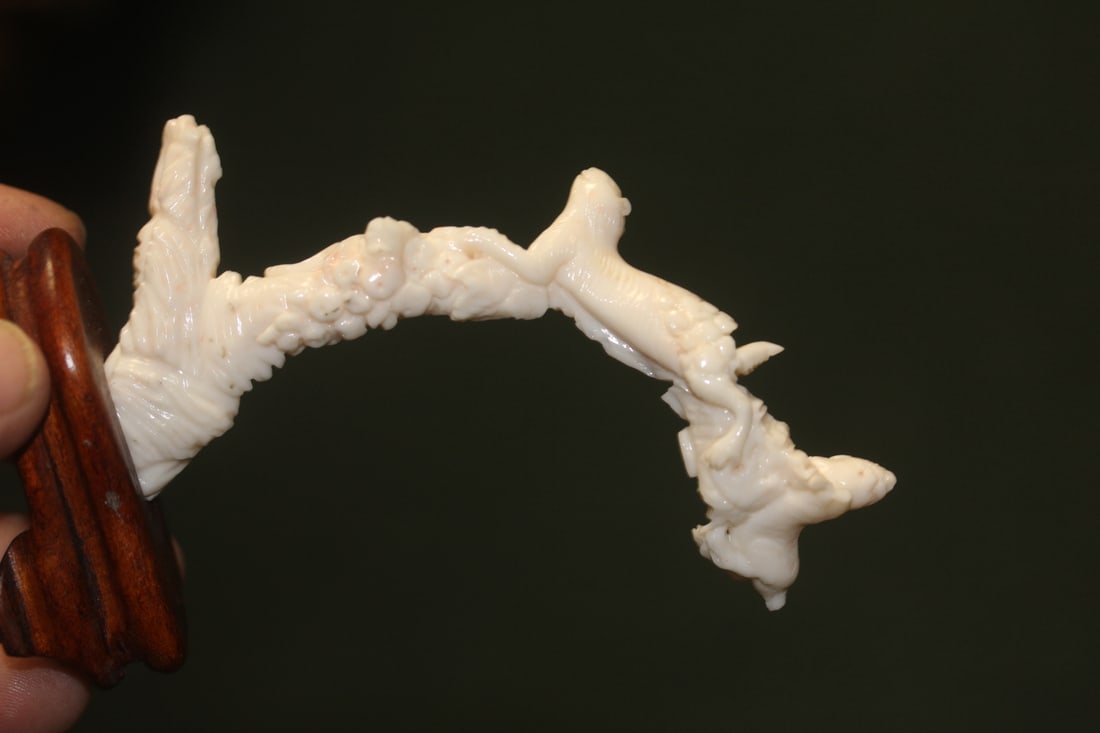 Chinese Carved Coral on Stand - 5