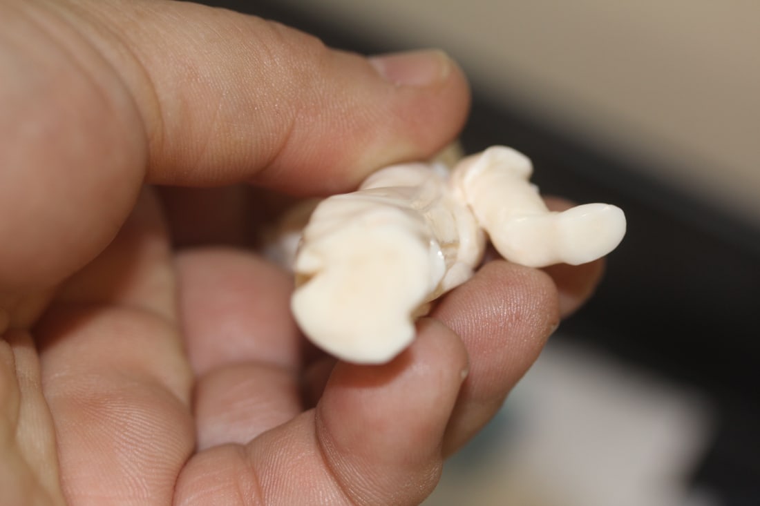 Carved Chinese Coral of a Lady - 3