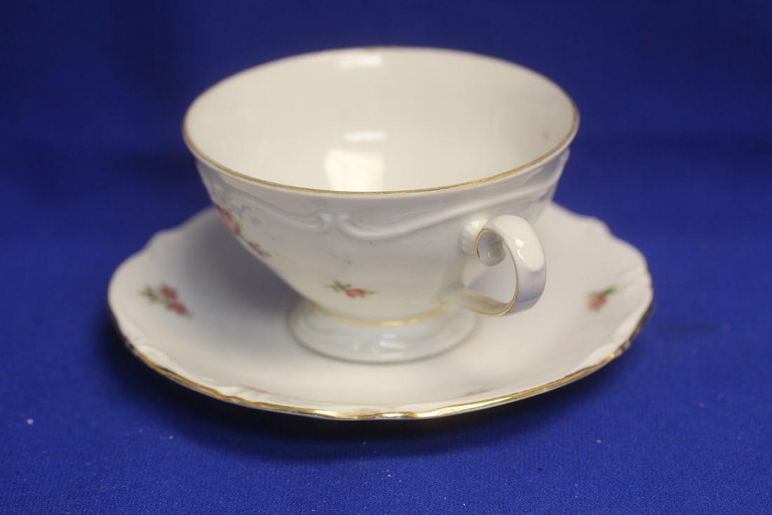 Bavaria Cup and Saucer - 2
