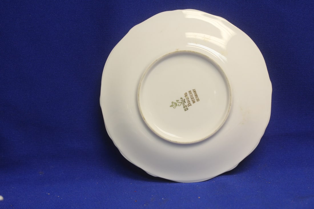 Bavaria Cup and Saucer - 7