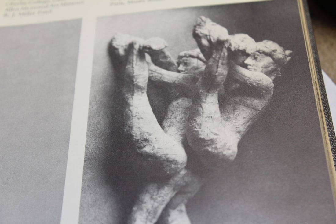 Hardcover Book: Sculpture by Fred Licht - 7