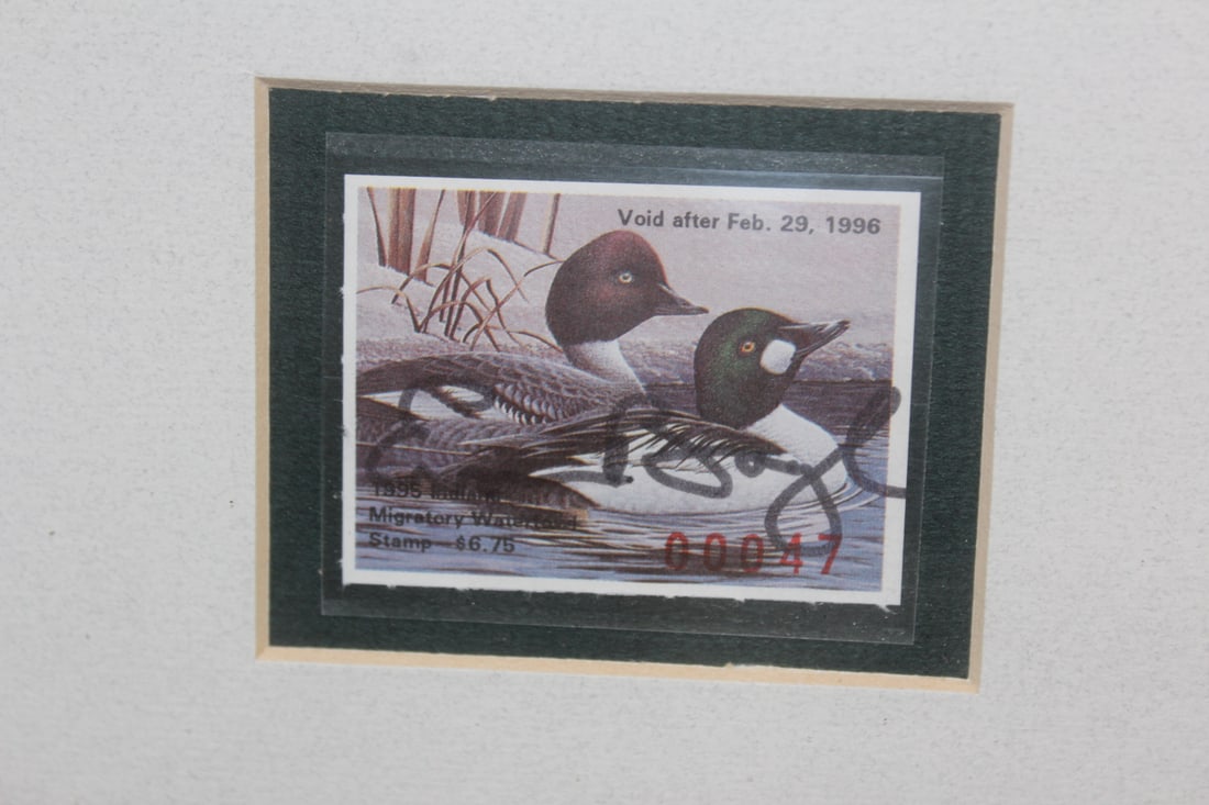 Framed Duck and Stamp Print by Ken Bucklew - 2