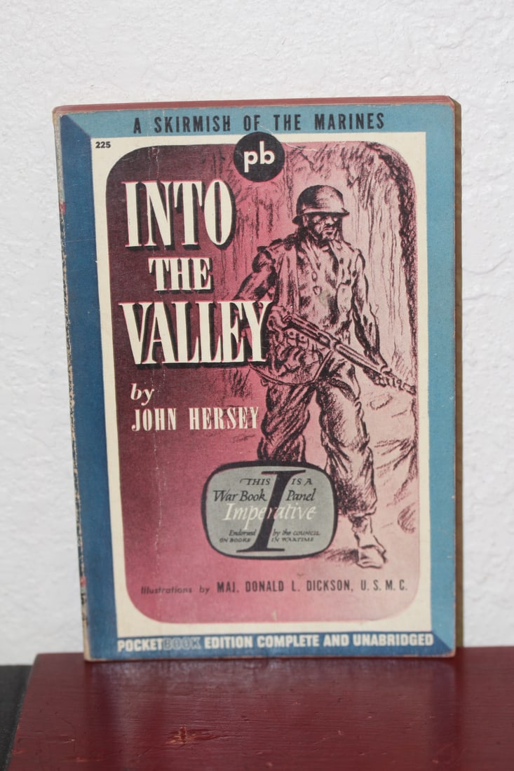 Paperback Novel: Into the Valley: as shown