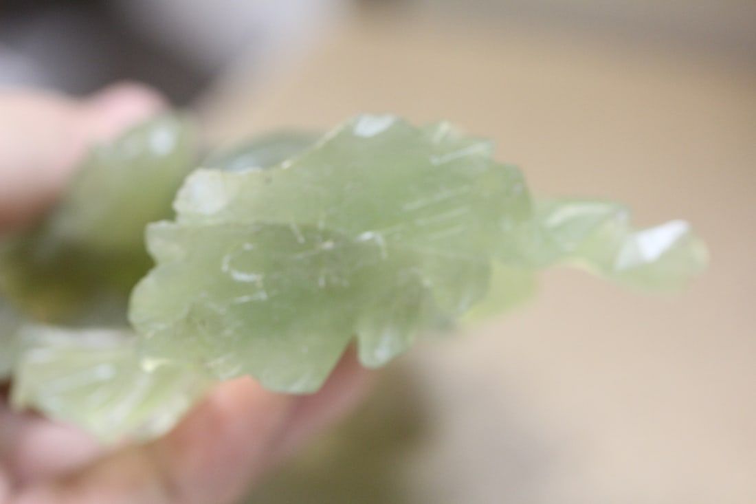 Chinese Jade Lady - 10