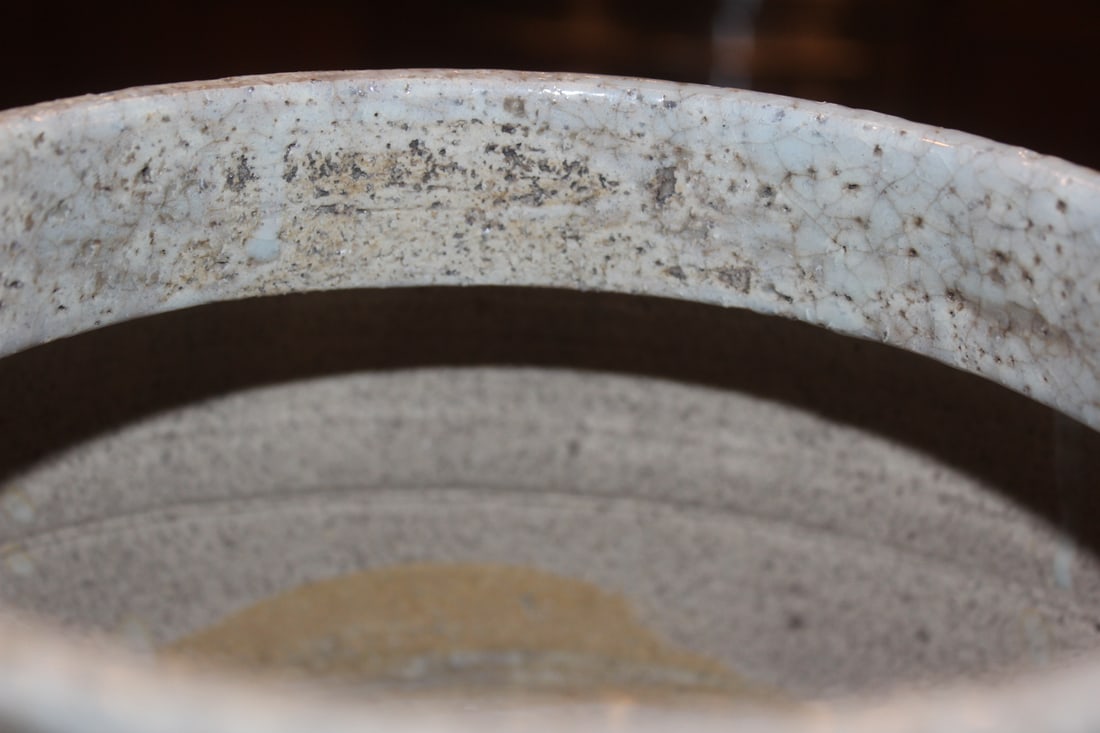 Chinese Iron Red and Blue Porcelain Planter - 2