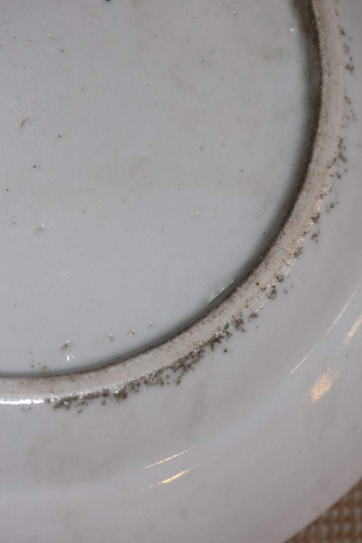 Chinese Rose Medallion Plate - 8