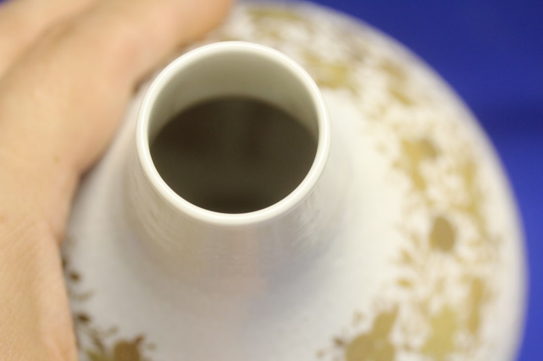 Rosenthal Porcelain Vase - 5