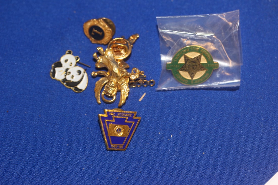 Lot of Pins and Tie Tags - 2