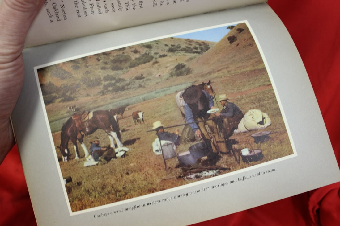 Fireside Travels in South America - 5