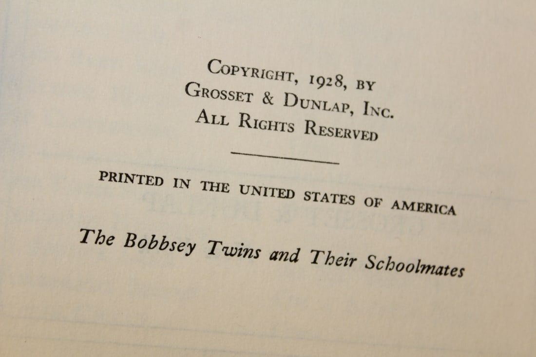 Book: The Bobbsey Twins and Their School Mates - 2
