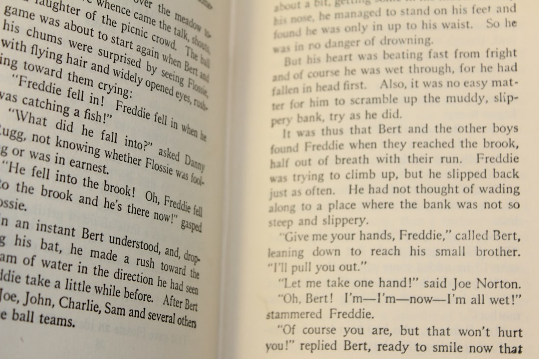 Book: The Bobbsey Twins and Their School Mates - 4