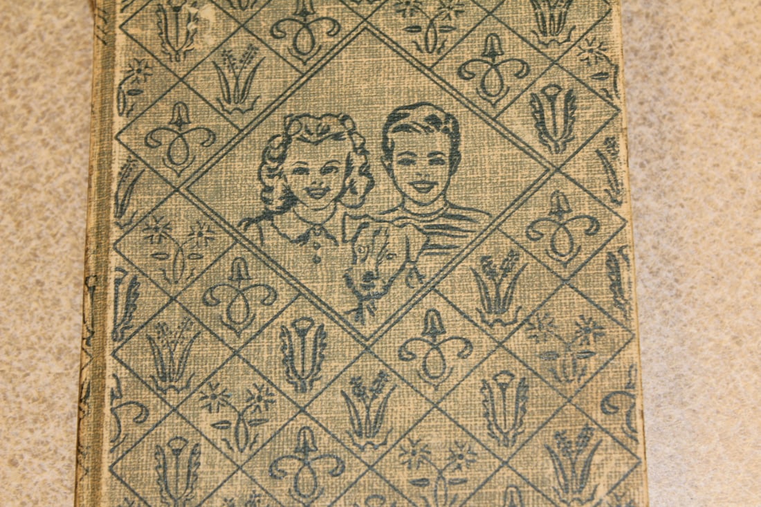 Book: The Bobbsey Twins and Their School Mates - 5