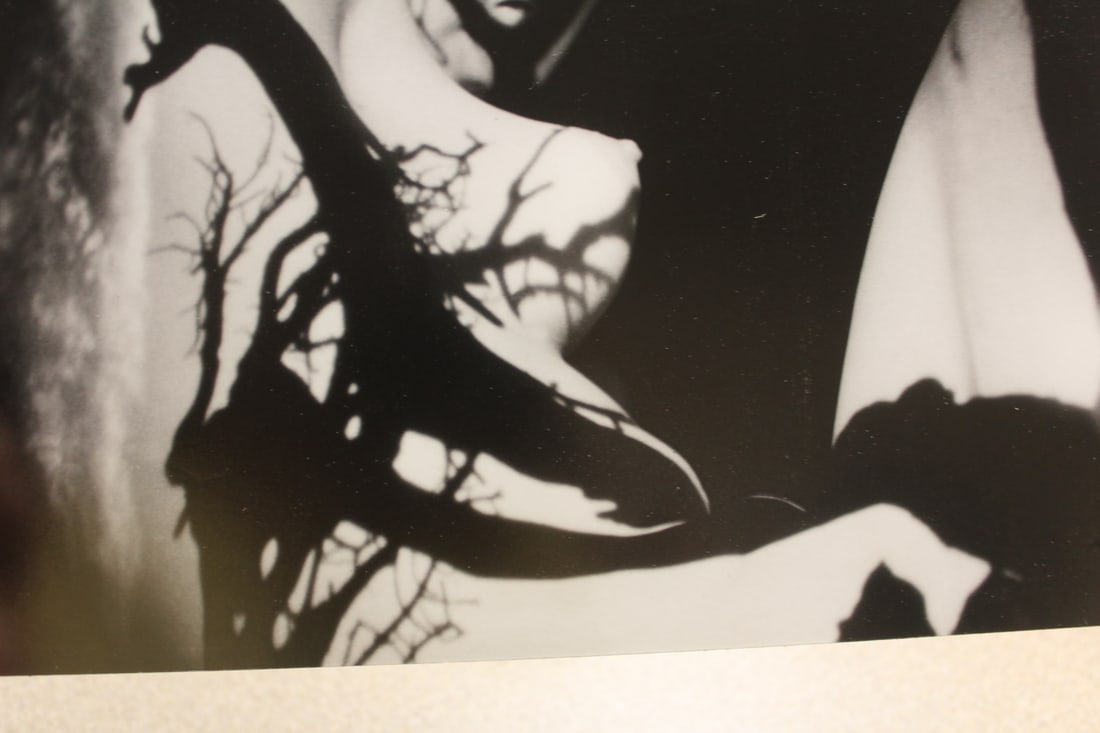 Unframed Nude Photograph - 3