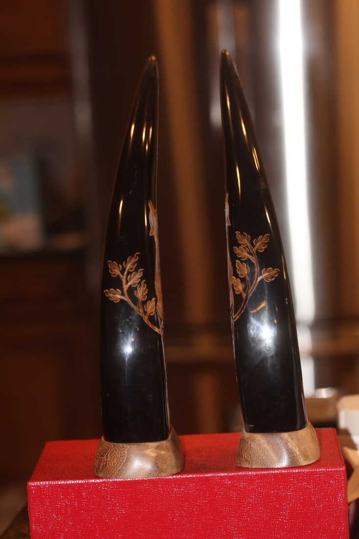 Pair of Well Carved Buffalo Horns - 2