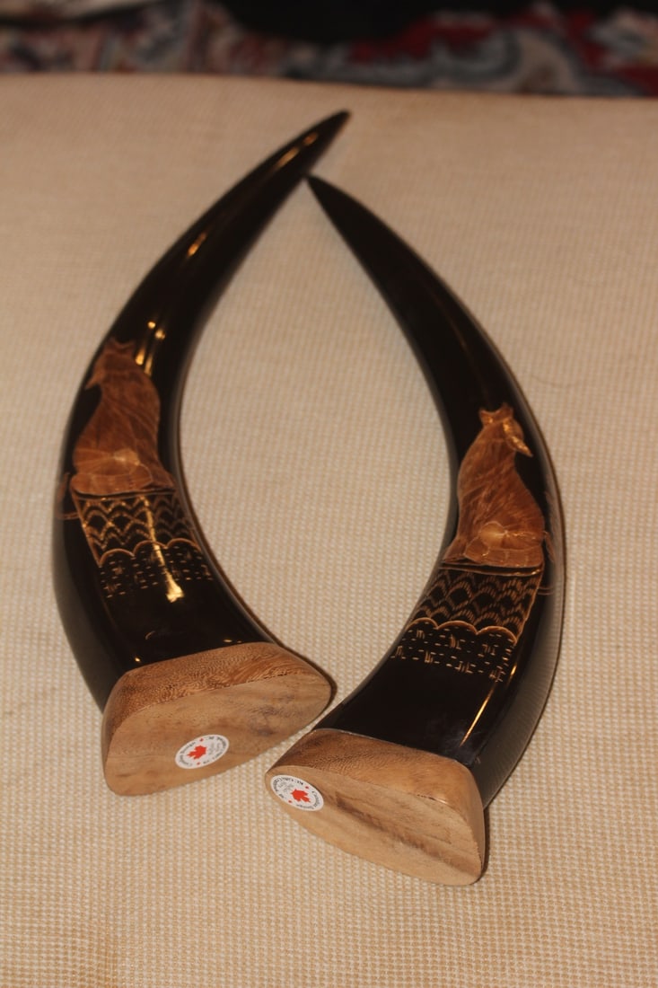 Pair of Well Carved Buffalo Horns - 5