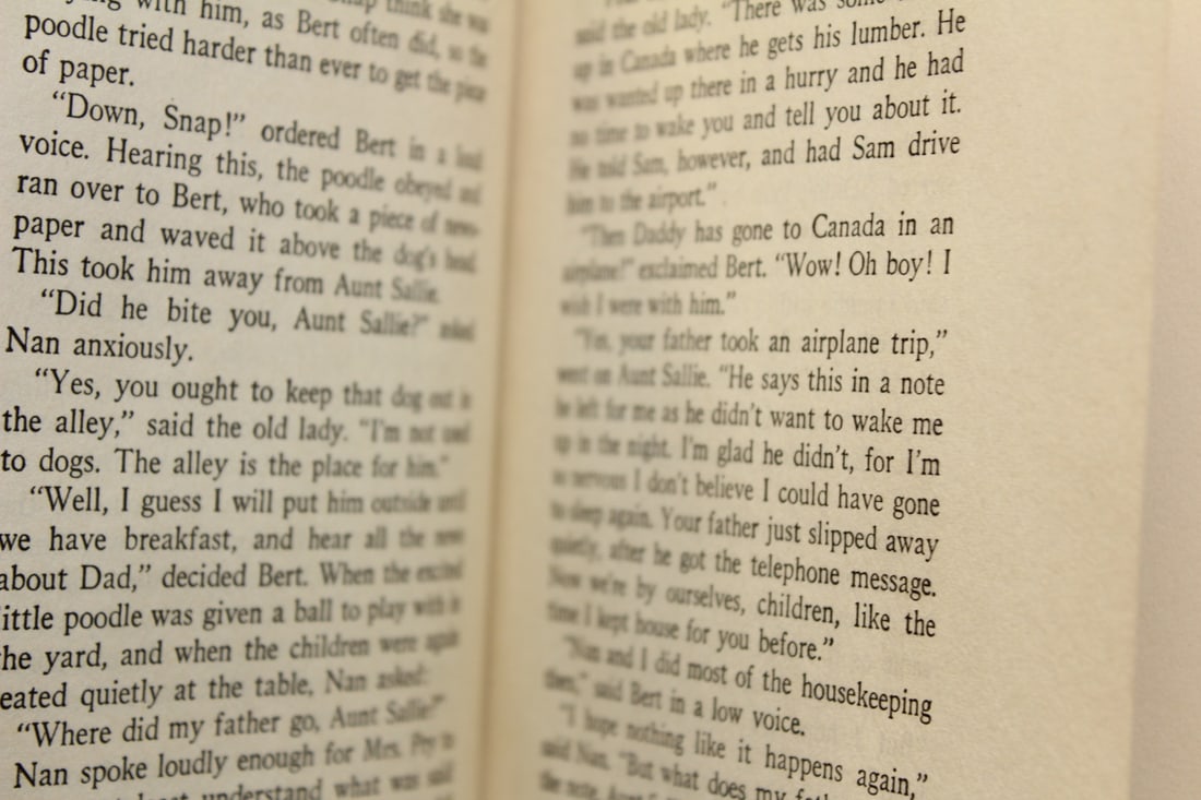 Book: The Bobbsey Twins on an Airplane Trip - 3