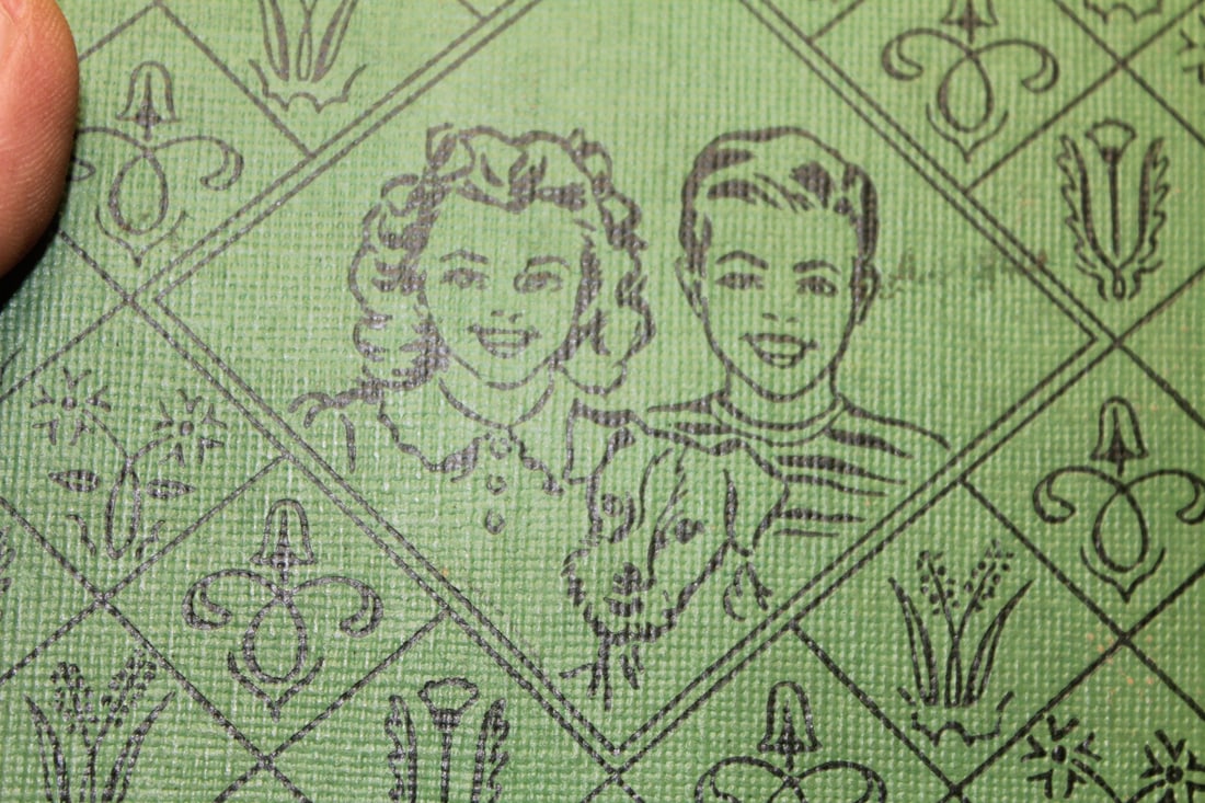 Book: The Bobbsey Twins on an Airplane Trip - 4