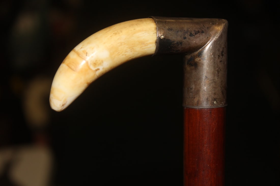 Antique Boar Tooth Cane Handle - 3