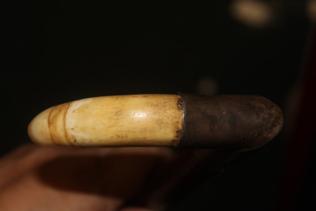 Antique Boar Tooth Cane Handle - 7