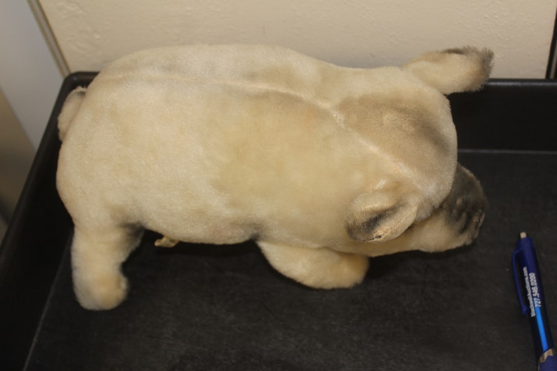 Japan Kamar Mohair Pig - 5