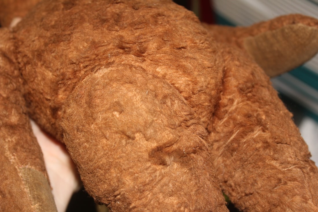 Antique Joint Teddy Bear - 4