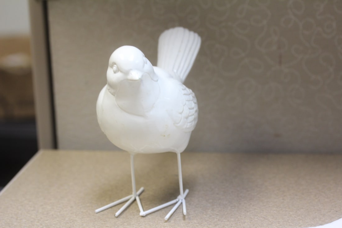 White Tin Bird - 2