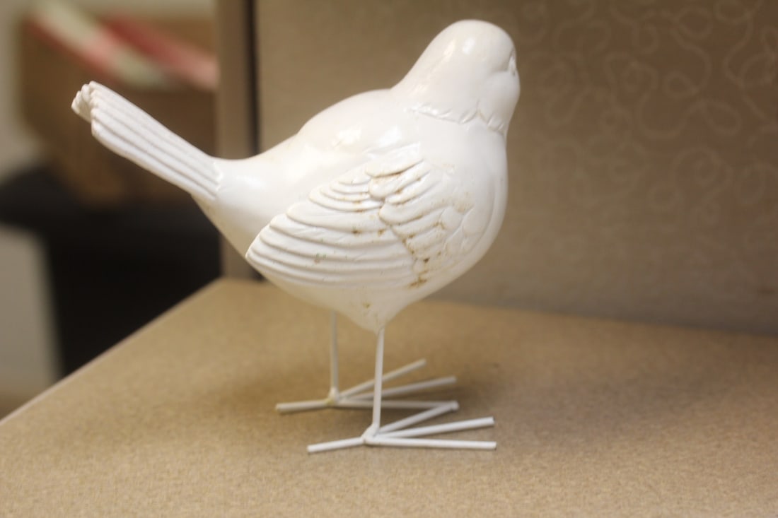White Tin Bird - 3