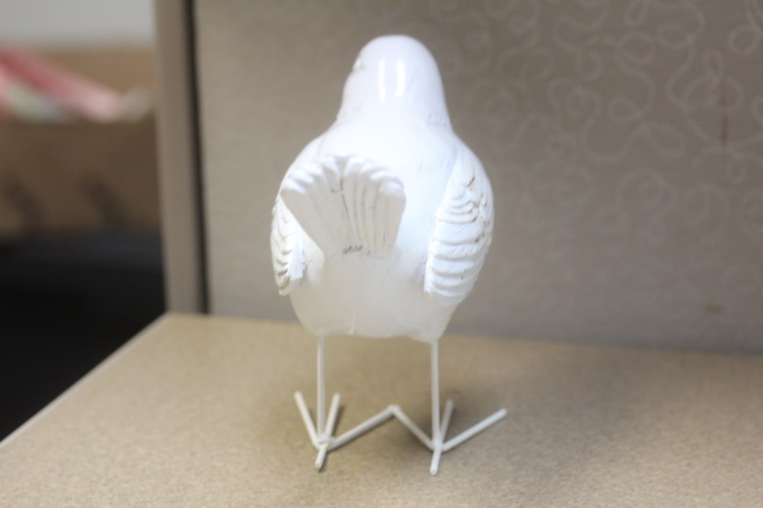 White Tin Bird - 4