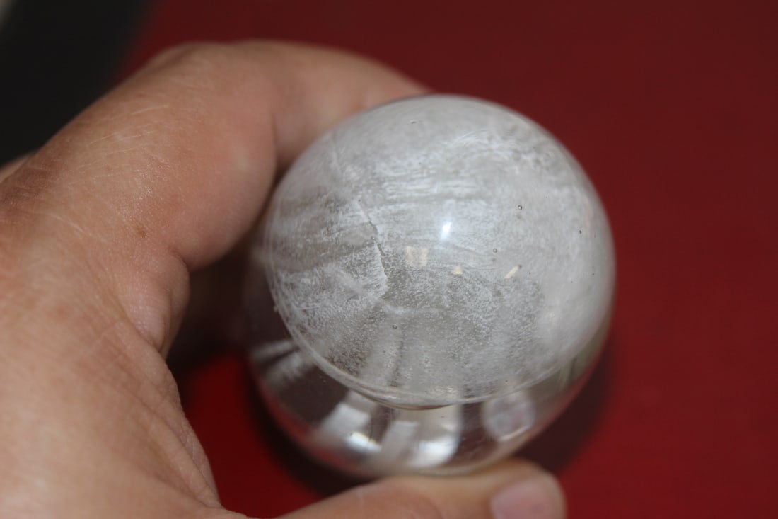 Jellyfish Paperweight - 4