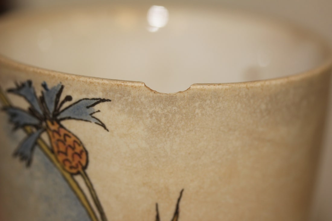 Antique Villeroy and Boch Tumbler - 8