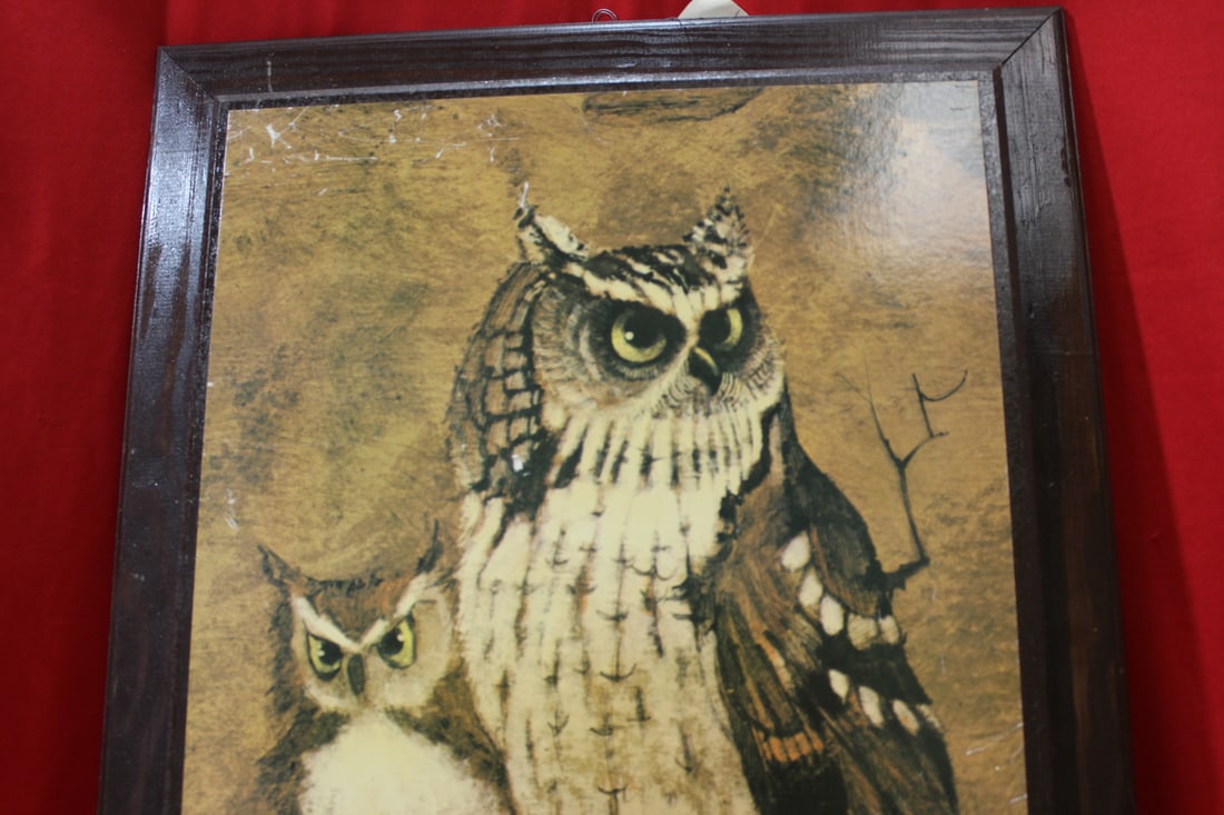 A Framed Owl Print - 2