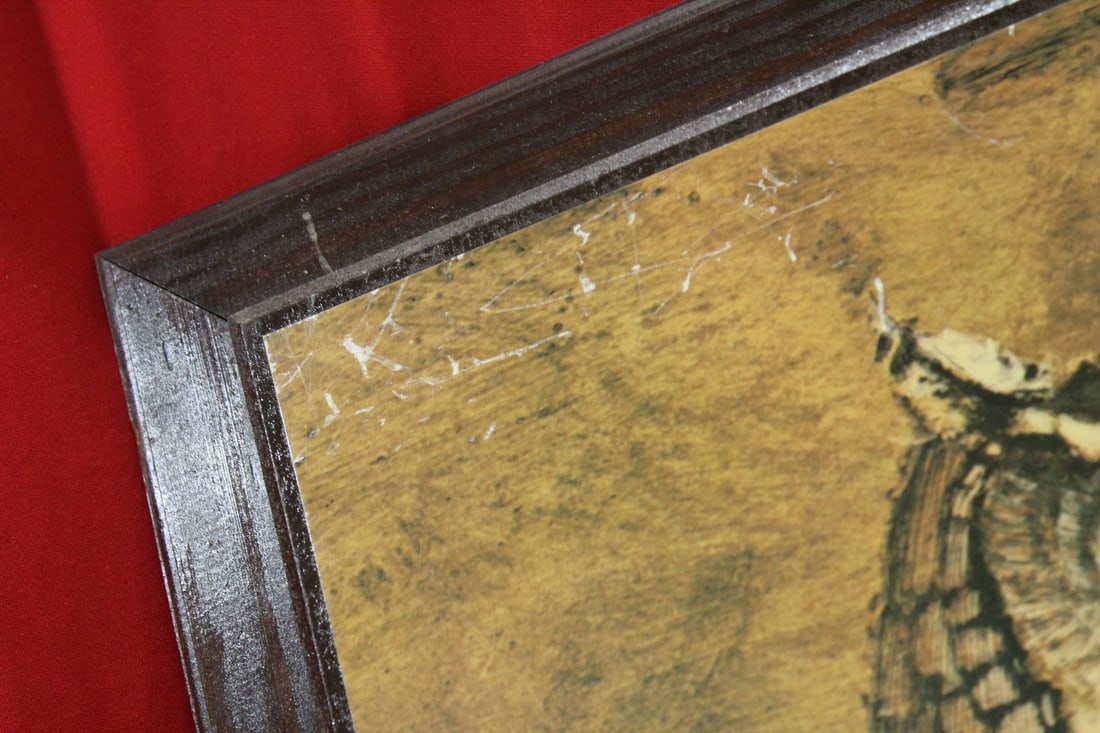 A Framed Owl Print - 6