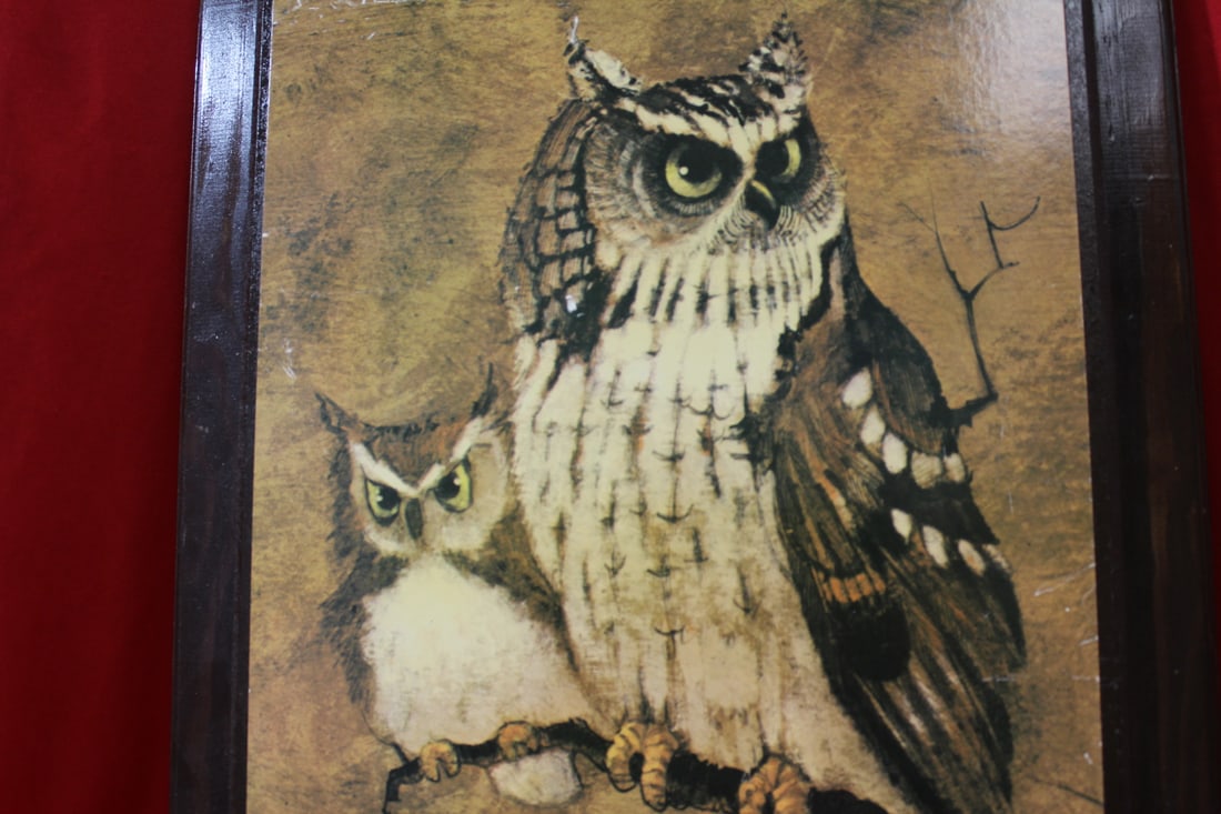 A Framed Owl Print - 7