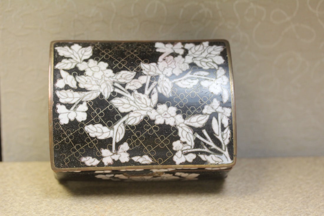 Antique Chinese Cloisonne Dome Box - 2