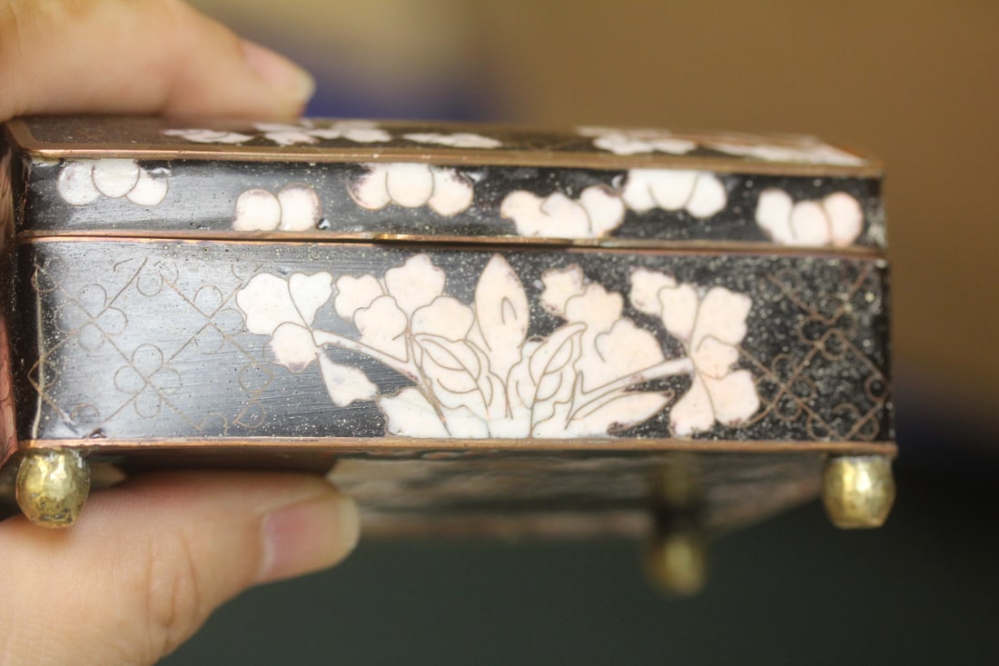 Antique Chinese Cloisonne Dome Box - 6
