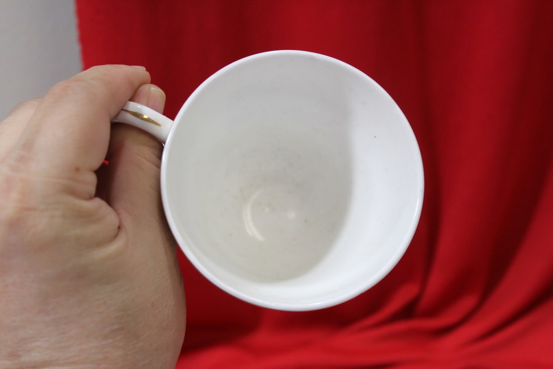 A Rare Crown Warwick Nova Scotia Cup and Saucer - 5