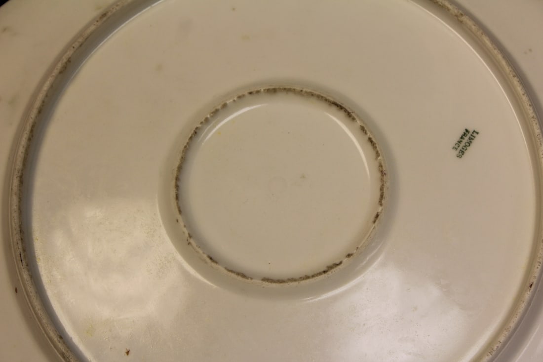 Limoges Hand Painted Platter - 8